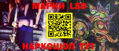 мдпв Бердск